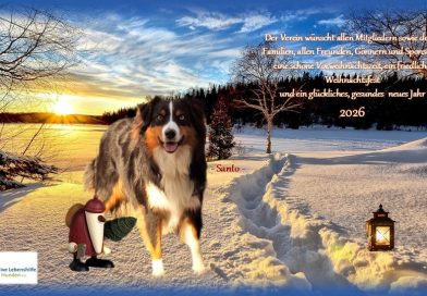 Weihnachten 2025 Weihnachten 2025