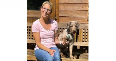 Loona Labradoodle Loona Labradoodle