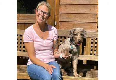 Loona Labradoodle Loona Labradoodle